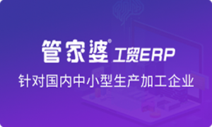 管家婆工贸ERP系列