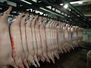 生猪屠宰企业管理方案|白条分割系统|肉类加工厂软件|屠宰管理系统